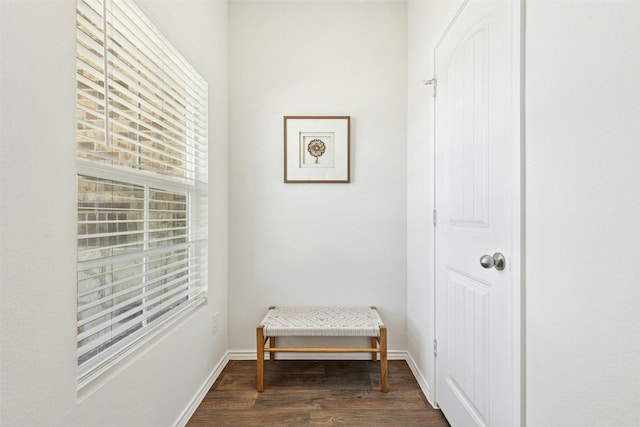 sitting room featuring baseboards and dark wood-style flooring