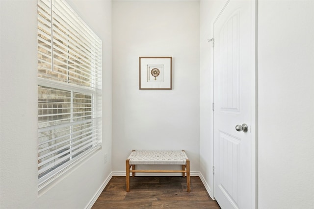 187 Dorchester Dr, Kyle, TX 78640 - corridor with dark wood-type flooring and baseboards