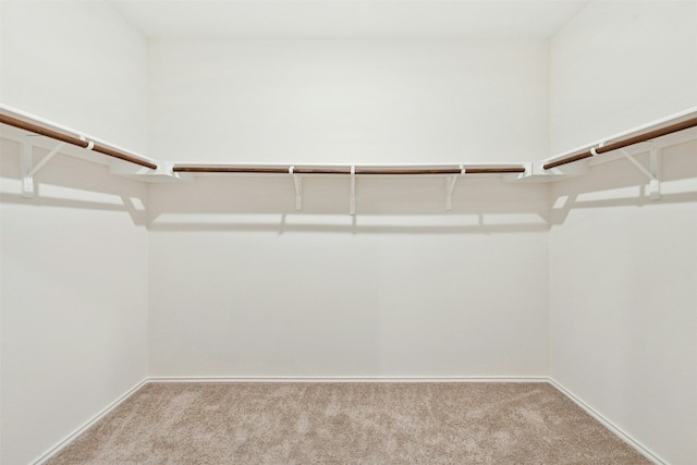 187 Dorchester Dr, Kyle, TX 78640 - spacious closet featuring carpet flooring