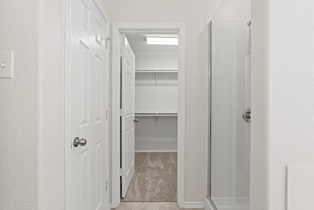 spacious closet featuring carpet