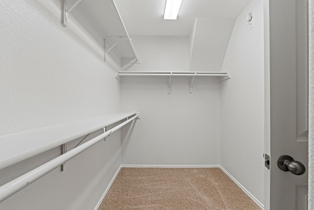 walk in closet with light carpet