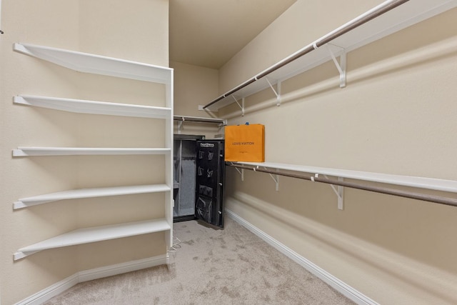 spacious closet with carpet