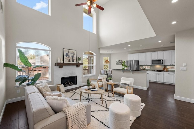 living area with dark wood-type flooring, a wealth of natural light, and baseboards