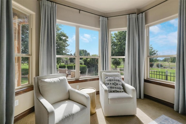 living area featuring healthy amount of natural light, baseboards, and carpet