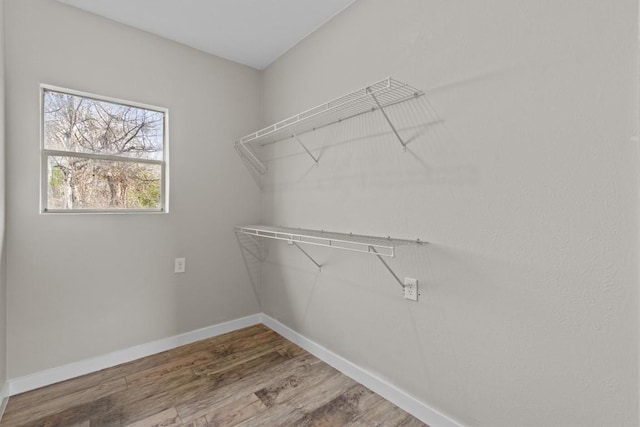 walk in closet with wood finished floors