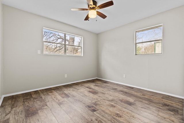 spare room with plenty of natural light, baseboards, and wood finished floors