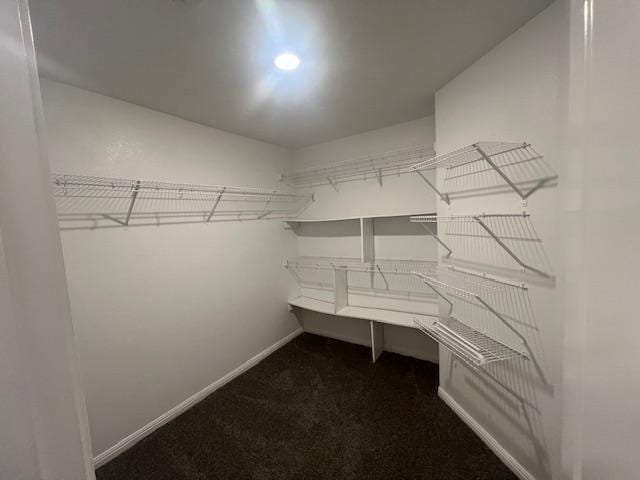 14009 John Aregood Pass, Elgin, TX 78621 - spacious closet with dark carpet