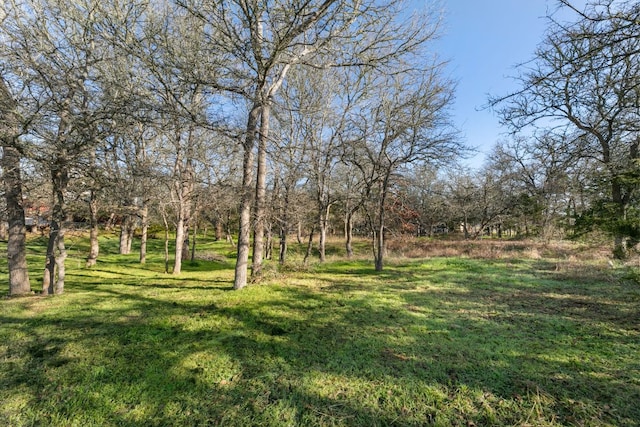 Listing photo 3 for 385 Texas Oak Dr, Cedar Creek TX 78612