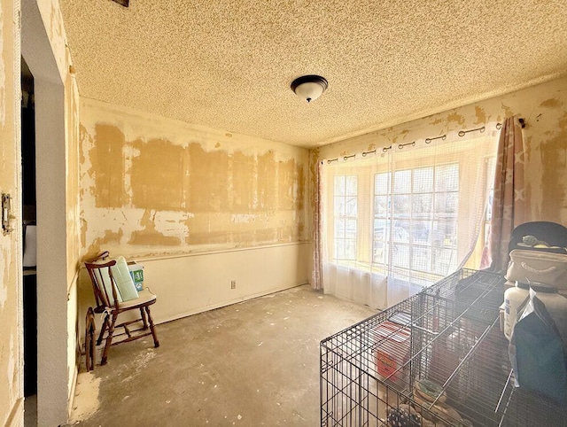 misc room featuring concrete flooring and a textured ceiling