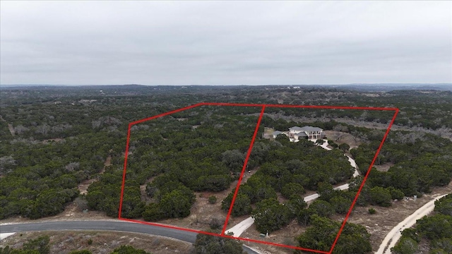 aerial view with a forest view