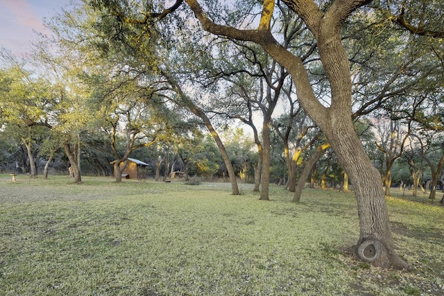 view of yard featuring an outbuilding