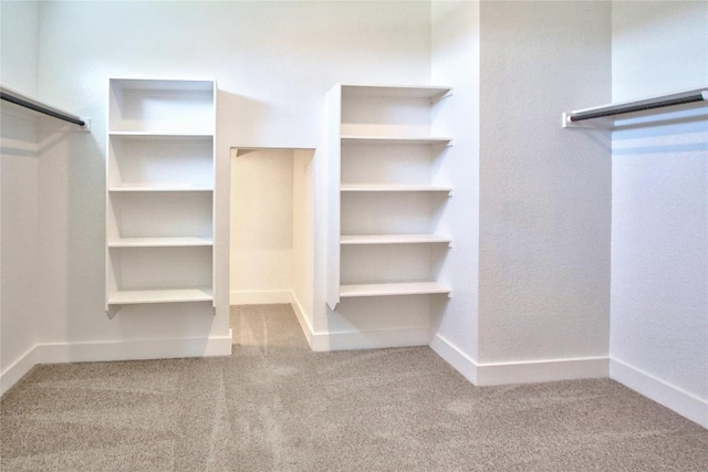 121 Pinnacle Ln, Kyle, TX 78640 - walk in closet featuring carpet