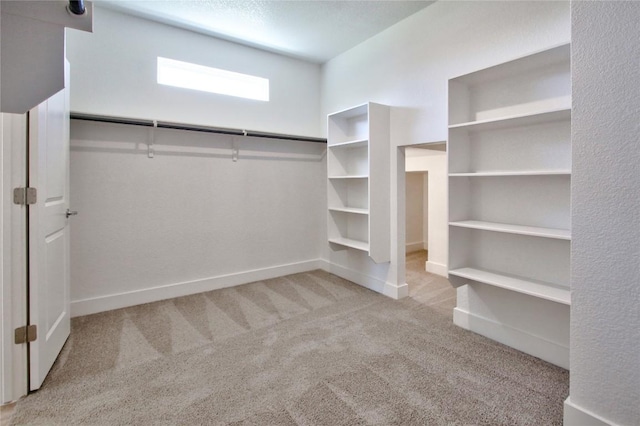 121 Pinnacle Ln, Kyle, TX 78640 - spacious closet with carpet floors