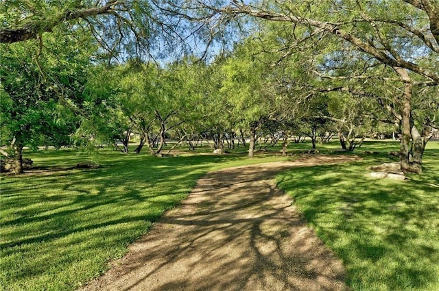 view of community with a yard