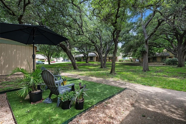 9504 Quail Village Ln, Austin, TX 78758 - view of grassy yard