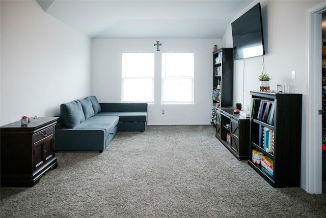 view of carpeted living area