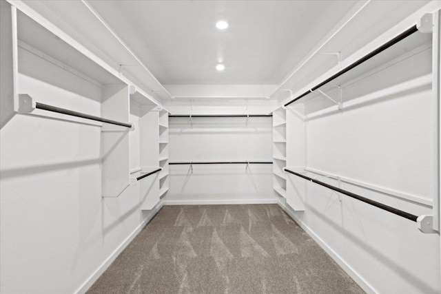 17503 Panorama Dr, Dripping Springs, TX 78620 - walk in closet with dark colored carpet
