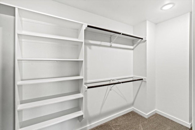 17503 Panorama Dr, Dripping Springs, TX 78620 - walk in closet with dark carpet