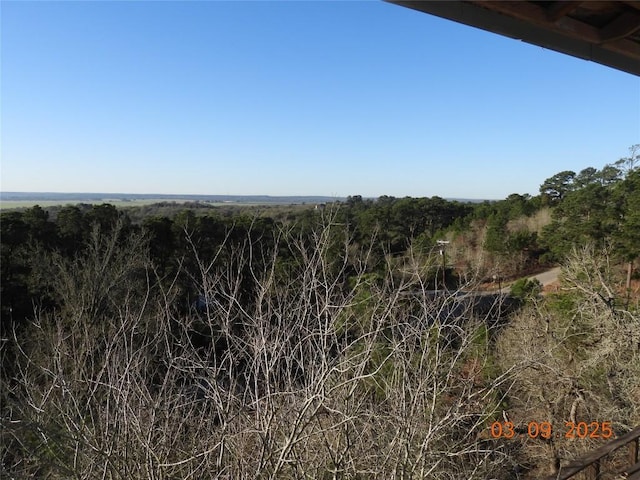 view of landscape