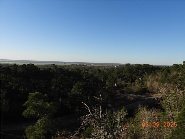 view of nature featuring a forest view