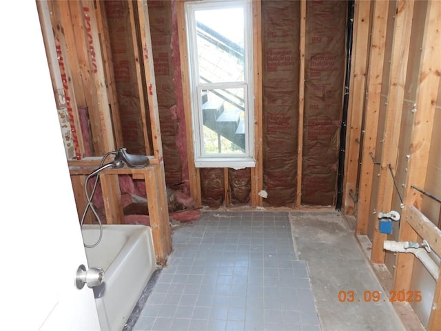 bathroom with plenty of natural light and a bathing tub