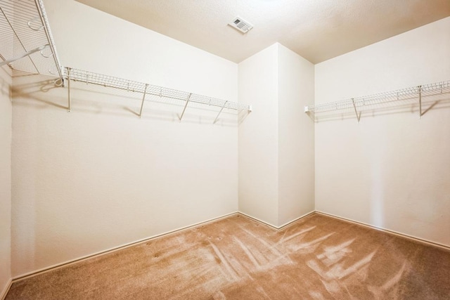 walk in closet featuring visible vents and carpet floors