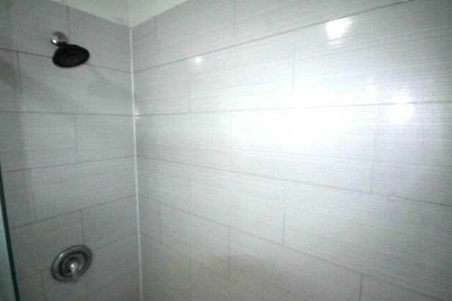 interior details featuring tiled shower