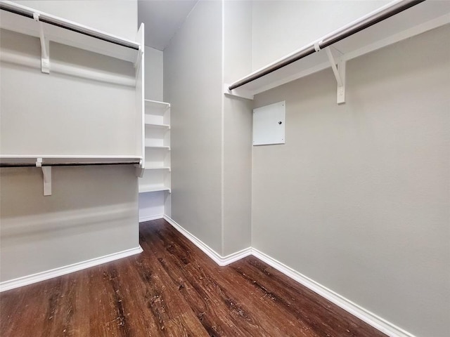 spacious closet featuring wood finished floors