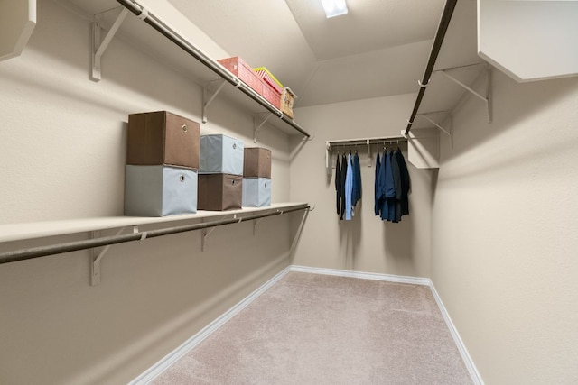 walk in closet featuring carpet flooring