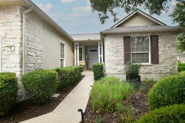 116 Dandelion Dr, Georgetown, TX 78633 - property entrance with stone siding and stucco siding