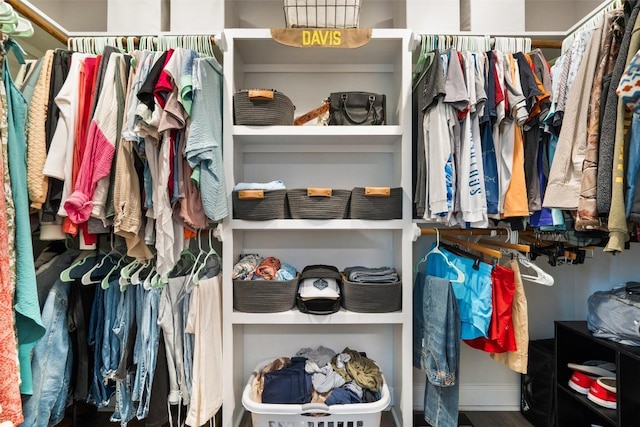 view of walk in closet