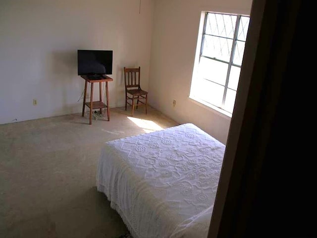 bedroom featuring carpet floors