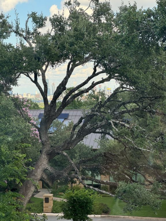 212 Westhaven Dr, West Lake Hills, TX 78746 - view of surrounding community