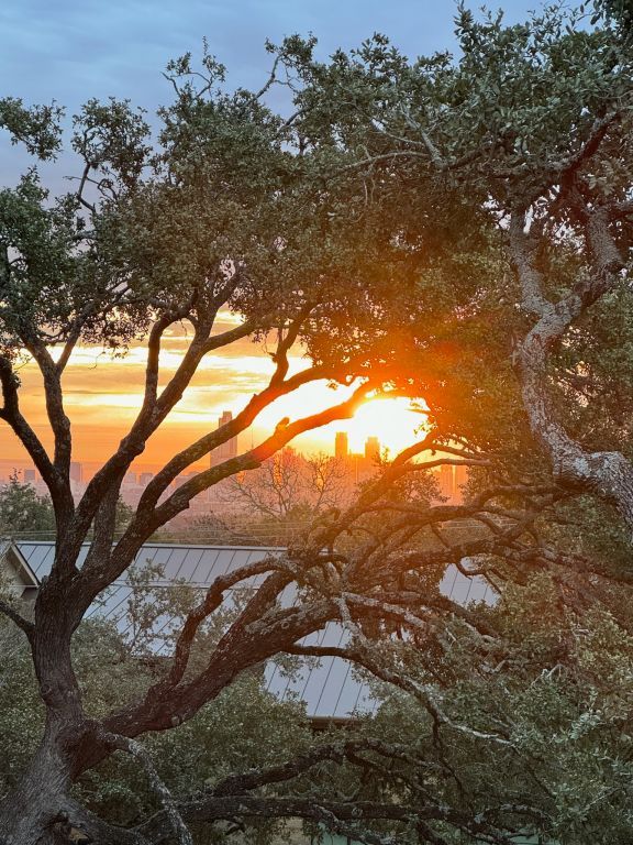 view of nature at dusk