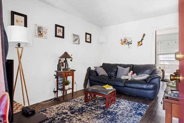 2803 Hemphill Park Unit B310, Austin, TX 78705 - living area featuring wood finished floors
