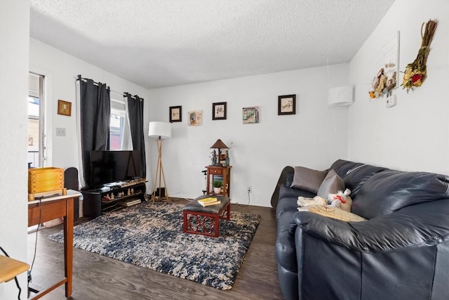 2803 Hemphill Park Unit B310, Austin, TX 78705 - living area featuring wood finished floors and a textured ceiling