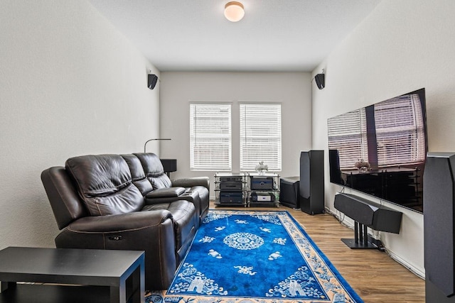 living area featuring wood finished floors