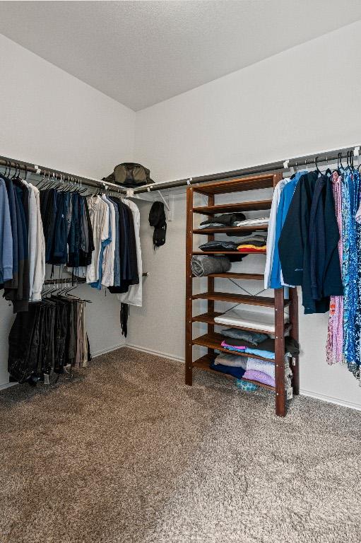 spacious closet featuring carpet flooring