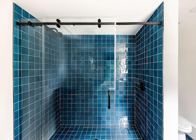 bathroom featuring a shower stall and toilet