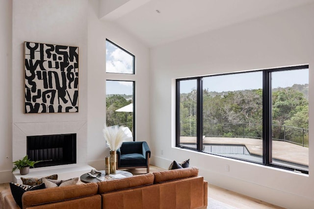 living area with wood finished floors and a fireplace with raised hearth