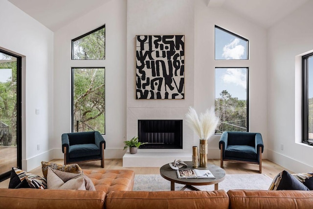 living room featuring wood finished floors, baseboards, plenty of natural light, and a fireplace with raised hearth