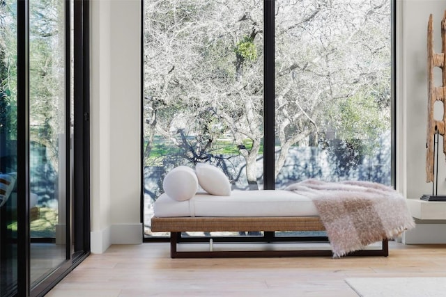 bedroom featuring wood finished floors and floor to ceiling windows