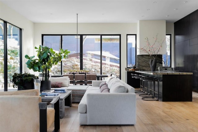 living room featuring a healthy amount of sunlight and light wood-type flooring