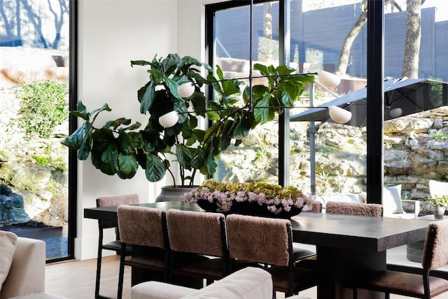 dining area featuring wood finished floors