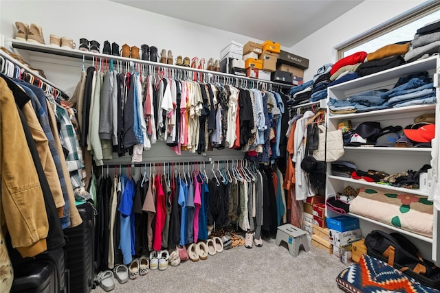 spacious closet with carpet floors