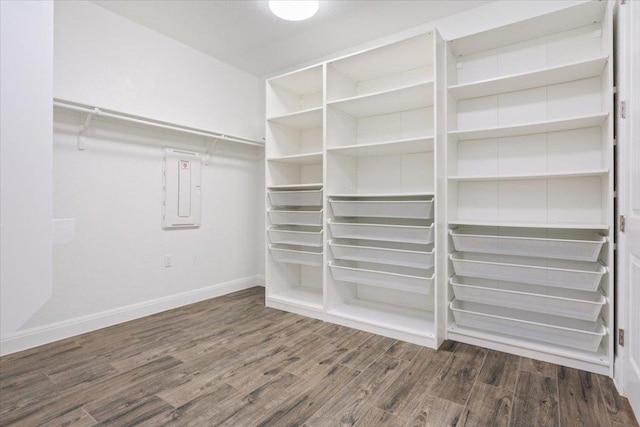 spacious closet with electric panel and wood finished floors