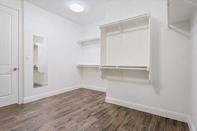 spacious closet featuring wood finished floors