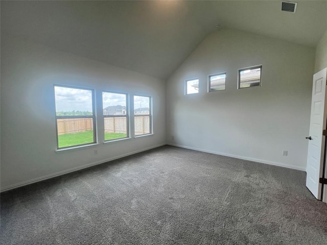 20425 Gillbrand Rd, Manor, TX 78653 - additional living space featuring carpet and high vaulted ceiling
