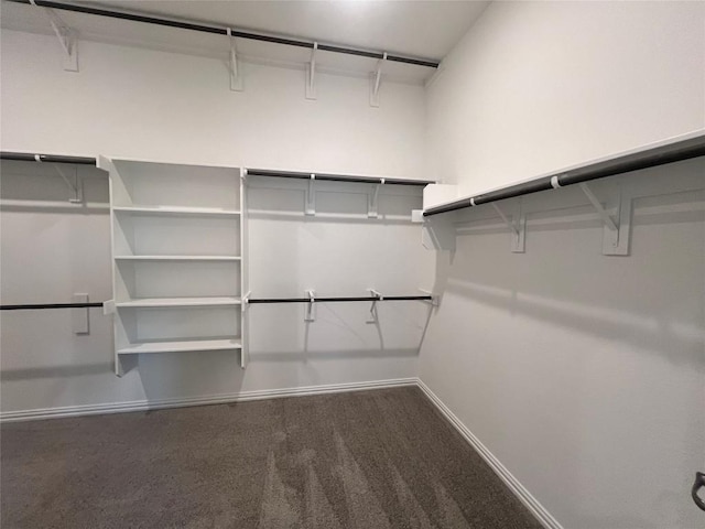 20425 Gillbrand Rd, Manor, TX 78653 - walk in closet with carpet floors