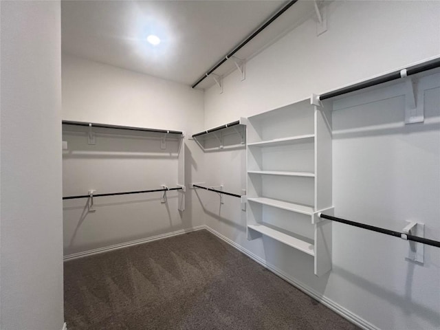20425 Gillbrand Rd, Manor, TX 78653 - walk in closet featuring carpet